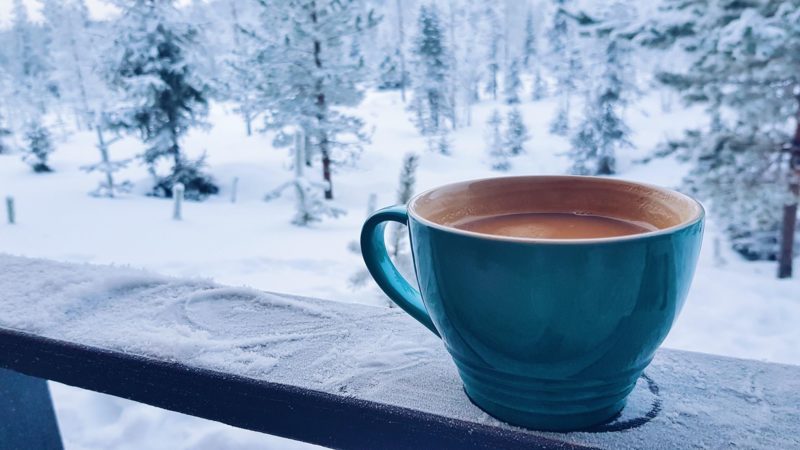 Влагомеры Delmhorst